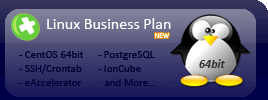 Linux Business Plan