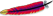 Apache Web Server