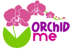 Thai Fresh Orchid Cut Flower 
We have a great number of orchid varieties namely Dendrobrium, Mokara, Aranda, Vanda, Aranthera and Oncidium. 